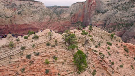 4K-Luftaufnahmen-Von-Engeln,-Die-Im-Zion-Nationalpark,-Utah,-USA-Landen