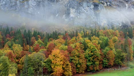 Schöne-Luftaufnahme-Des-Waldes-In-Der-Herbstsaison-Mit-Bergen-Im-Hintergrund