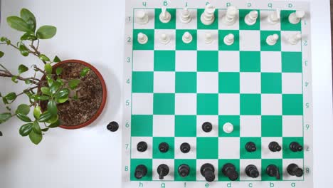 Chess-Move