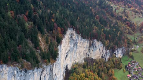 Wald-In-Der-Herbstsaison-Mit-Bergen-Im-Hintergrund