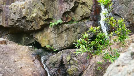 Wasser,-Das-Die-Felsen-Bei-Youngs-Creek-Falls-Hinunterfließt,-Nördlich-Von-Orbost,-Gippsland,-Victoria,-Australien,-Dezember-2020
