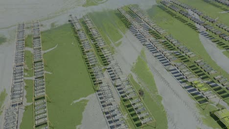 Basket-Methods-Of-Growing-Oysters-At-North-Brittany-With-Green-Algae-On-Water