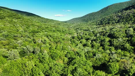Aerial-drone-video-footage-of-summer-time-in-the-Catskill-Mountains-in-New-York’s-Hudson-Valley
