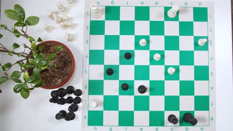 Mann-Spielt-Schach-Auf-Dem-Tisch-Mit-Einem-Topf-Zierpflanze-An-Der-Seite