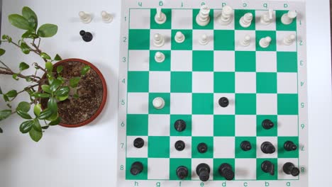 A-chess-board-near-a-plant-with-a-person-hand-moving-pieces-across-the-board,-static-shot