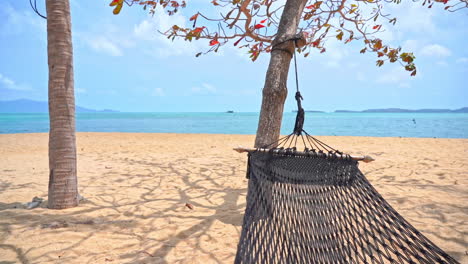 An-empty-hammock-suspended-over-empty-sand-beach-shifts-in-the-wind