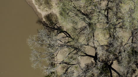 Flussufer-Des-Rio-Grande-River-In-Albuquerque,-New-Mexico---Luftbild-Aus-Der-Vogelperspektive-Von-Oben-Nach-Unten
