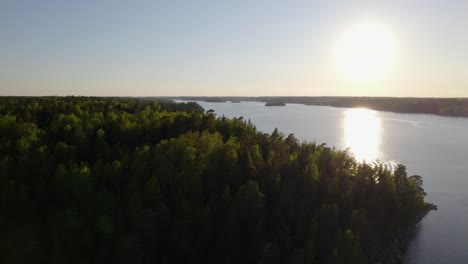 Aerial-view-over-trees-on-a-island,-in-the-archipelago-of-Stockholm,-in-south-Sweden---rising,-drone-shot