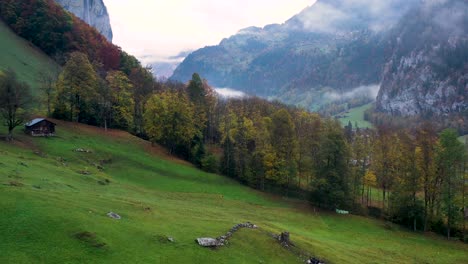 Schöne-Luftaufnahme-Des-Waldes-In-Der-Herbstsaison-Mit-Bergen-Im-Hintergrund