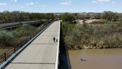 Person-Walking-Dog-on-Bridge-over-Rio-Grande-River-in-Albuquerque,-New-Mexico---Aerial