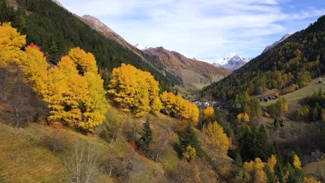 Autumn-view-of-larch-forest-in-Switzerland,-with-a-town,-mountains,-snow-peak-and-a-river-on-the-background