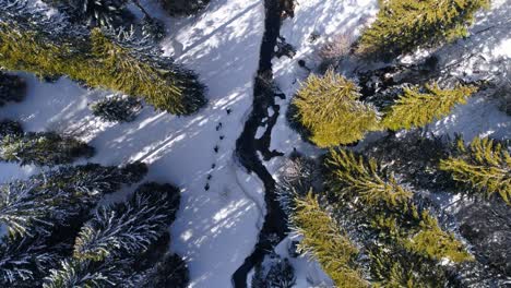 Aerial-top-down-of-hiker-group-walking-on-snowy-path-beside-stream-on-cold-winter-day-with-sunlight