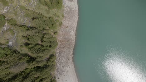 Top-down-flyover-showing-the-rocky-shore-of-the-Oeschinensee-with-a-forest-of-pine-and-fir-trees-to-ist-side