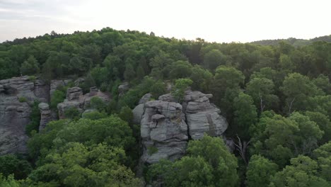 Rocky-cliff-and-dense-forest-in-aerial-drone-view