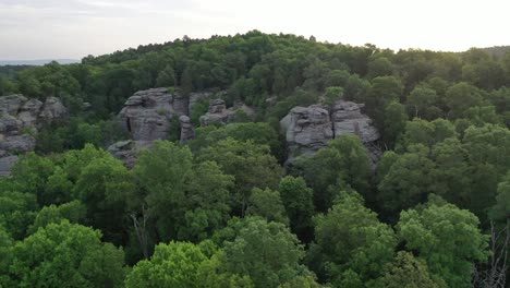 Rocky-cliff-covered-with-forest-in-aerial-drone-view-during-sunshine