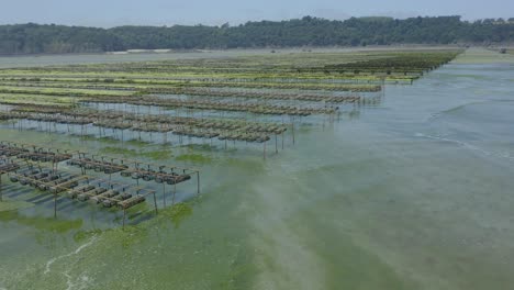 Aerial-View-Of-Oyster-Farm-With-Basket-And-Rack-and-bag-System-At-Low-Tide-On-A-Sunny-Day-In-Brittany,-France