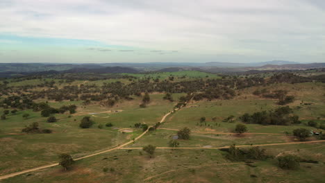 Aerial-wide-shot-flying-over-a-rural-landscape-of-green-rustic-fields-in-Mudgee,-New-South-Wales,-Australia