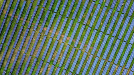 Diagonale-Draufsicht-Auf-Photovoltaik-Solarmodule-Im-Solarfeld-An-Einem-Sonnigen-Tag