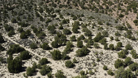 Hermoso-Paisaje-Natural-En-El-Suroeste-Del-Desierto-De-Moab,-Utah---Antena