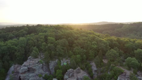 Beautiful-dense-forest-landscape-with-sun-rising-in-aerial-drone-shot