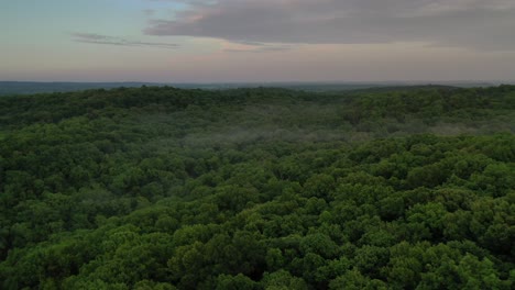 Vast-dense-forest-with-rising-mist-and-majestic-horizon,-aerial-view