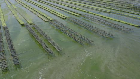 Oyster-Racks-In-An-Aquaculture-Farm-In-Brittany,-France