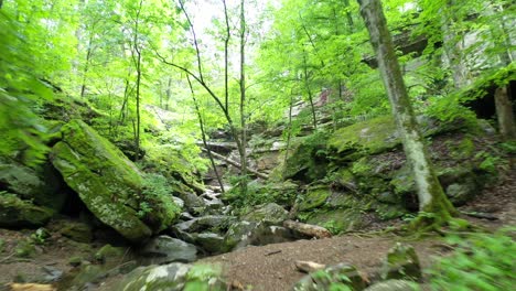 Rocky-valley-surrounded-by-dense-green-forest,-dolly-forward