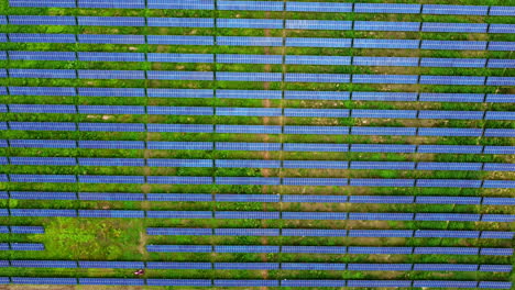 Top-down-View-Of-Rows-Of-Panels-In-A-Solar-Field-At-The-Countryside
