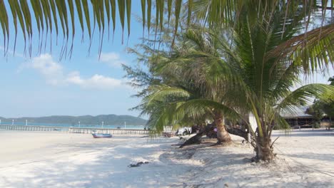 Palm-trees-along-white-sand-tropical-beach,-Koh-Rong-Samloem