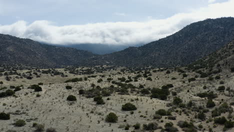 Arid-Scenery-in-Southwest-Desert-Landscape-of-New-Mexico,-USA---Aerial