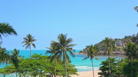 Palmenkronen,-Die-Sich-An-Einem-Sonnigen-Tag-An-Einem-Tropischen-Sandstrand-Einer-Exotischen-Insel-Auf-Den-Philippinen-Wiegen