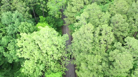 Vehicle-driving-on-gravel-road-surrounded-by-dense-green-forest,-aerial-view