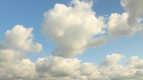Zeitraffer-Von-Dicken-Und-Flauschigen-Wolken,-Die-Schnell-An-Einem-Blauen-Himmel-Vorbeiziehen