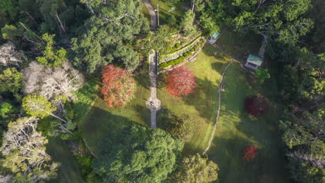 overhead-time-lapse-of-a-beautiful-park-in-Autumn,-Sydney