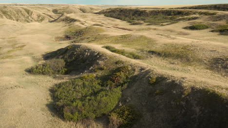 Ciervos-Atravesando-El-Paisaje-Y-El-Río-De-Aterrizaje-De-Saskatchewan,-Disparo-Largo-De-Drones