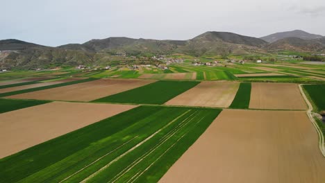 Beautiful-field-with-square-agricultural-parcels-in-brown-and-green-colors-near-village