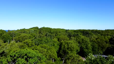 Drone-rises-from-the-treeline-to-show-off-the-lakeside-area-near-Pere-Marquette-in-Muskegon,-MI