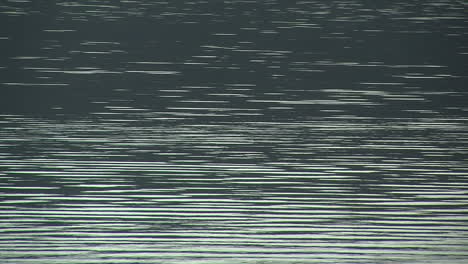 Linear-ripples-on-lake-surface