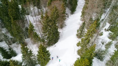 Aerial-tracking-shot-showing-little-group-girls-skiing-cross-country-in-snowy-forest-during-sunlight