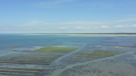 Oyster-Beds-Exposed-In-Shallow-Blue-Sea-At-Low-Tide