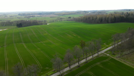 Schöne-üppige-Grüne-Landwirtschaftsfelder-Von-Pieskowo-Polen