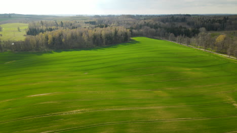 Dramatic-pull-out-drone-shot-over-rolling-green-fields-of-Pieszkowo-Poland