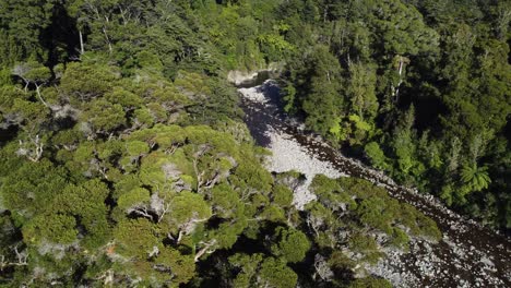 Flying-sideways-to-reveal-a-forest-with-a-river-running-through-it