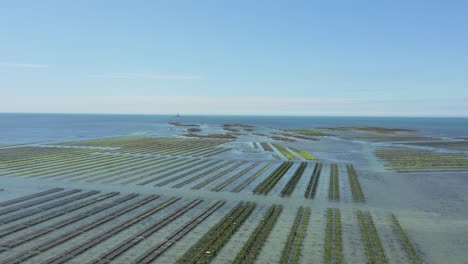 Bird's-Eye-View-Of-Vast-Oyster-Farm-At-English-Channel-Near-Brittany-In-France