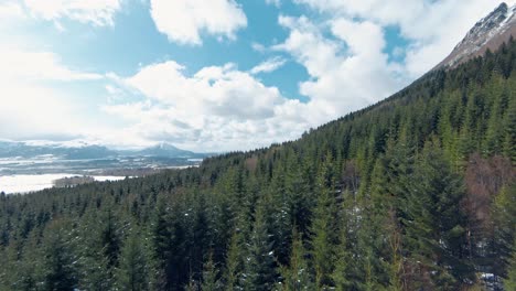 Drone-slowly-flying-over-a-beautiful-spruce-forest-on-the-side-of-a-mountain,-bright-blue-sky-with-clouds