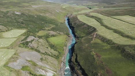 Iceland-Blue-River-in-canyon-with-green-farm-fields,-Studlagil,-aerial