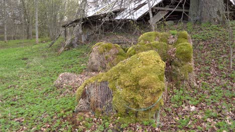 Mossy-hay-rolls-near-damaged-farmstead-in-gimbal-closing-up-view