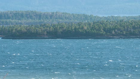 Zoomed-in-shot-of-strong-winds-on-the-ocean,-small-waves-are-forming,-green-forest-in-background