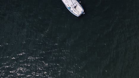 Top-Down-Aufnahme-Eines-Isolierten-Segelboots-An-Einem-Sonnigen-Tag-Im-Blaugrünen-Wasser