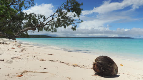 Kokosnussschale-Auf-Tropischem-Strand,-Inselpalmenhintergrund
